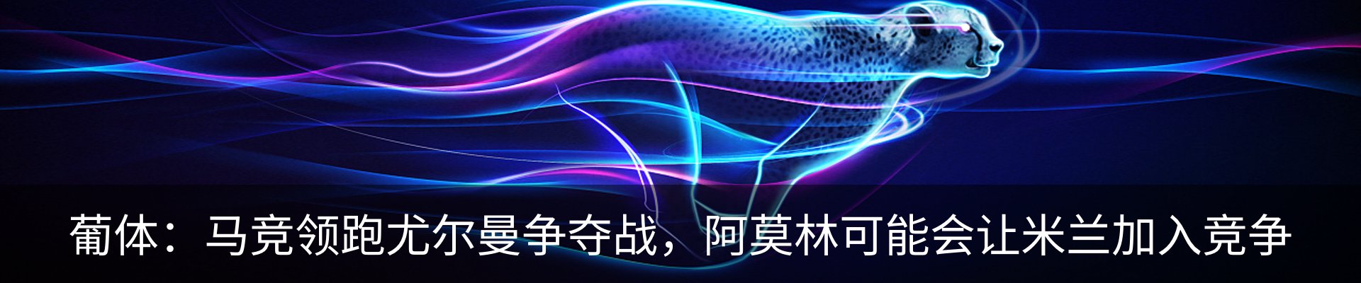 新闻动态